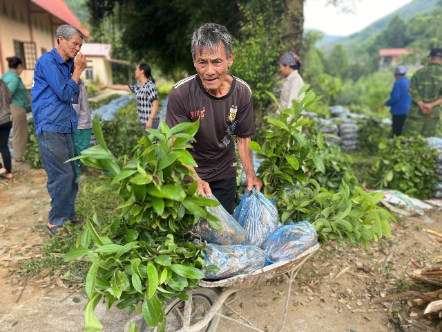 Sống niềm tin cách cụ thể